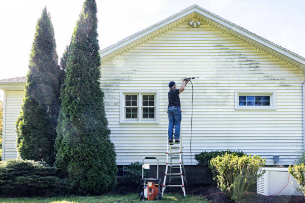 Best Roof Pressure Washing  in Sells, AZ