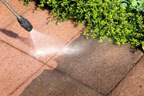 Best Fence Pressure Washing  in Sells, AZ